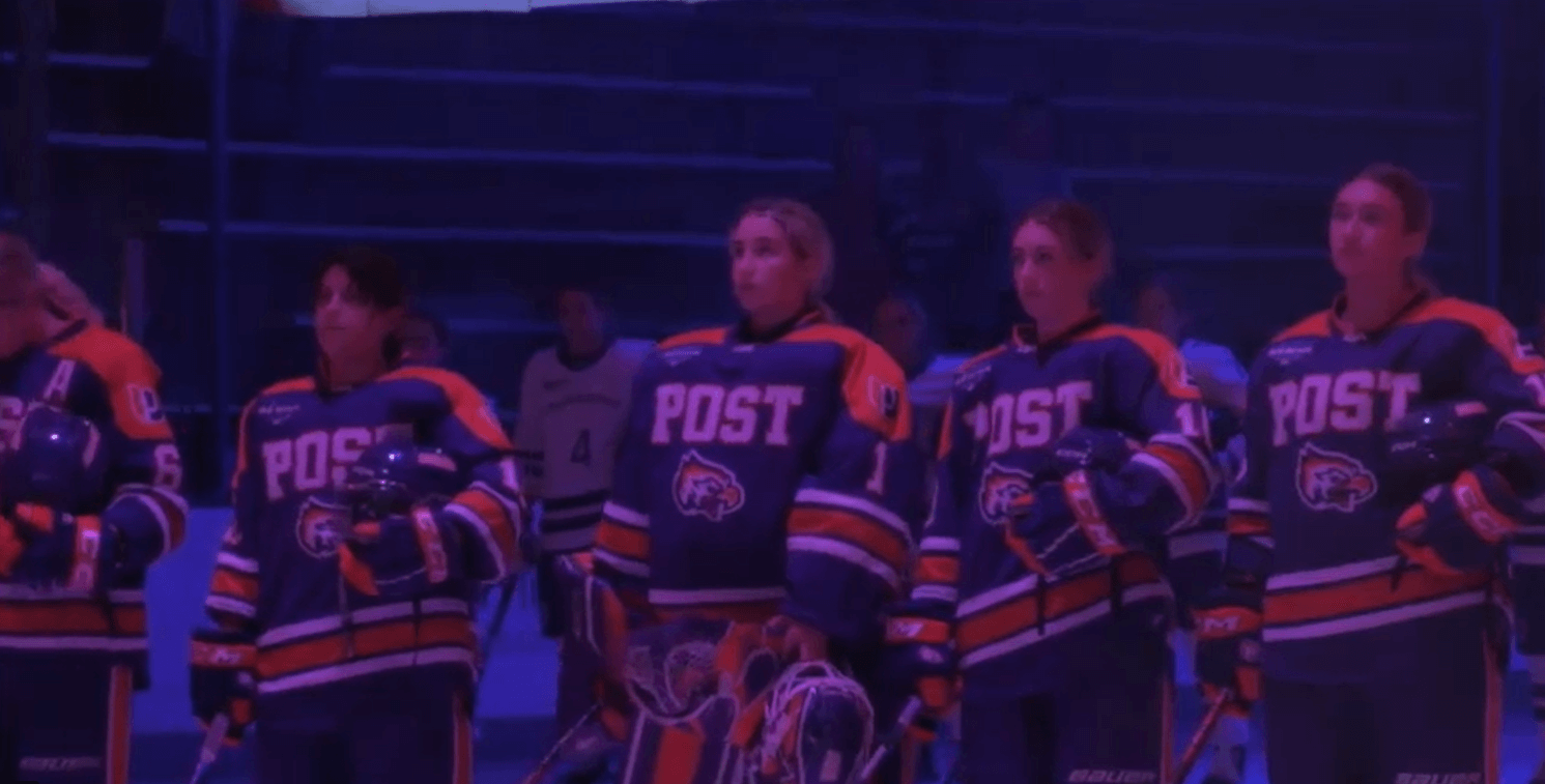 capture.png67ur68 1.png